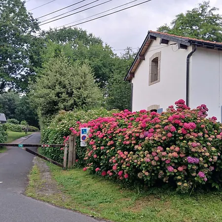 L' Arbre A Noisettes Ploermel
